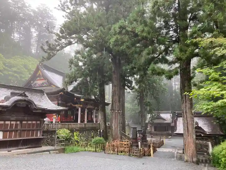 三峯神社(埼玉県)
