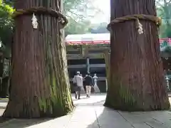 八幡朝見神社(大分県)