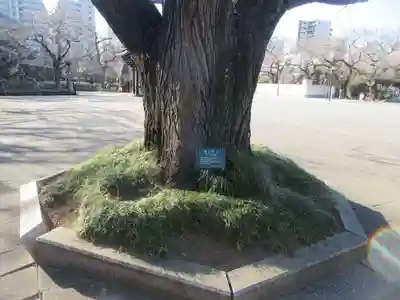 吉祥寺(東京都)