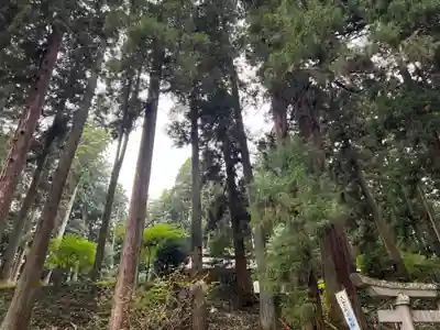 大宮温泉神社(栃木県)