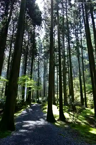 御岩神社の周辺