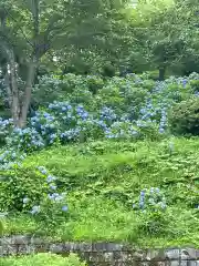 金蛇水神社(宮城県)