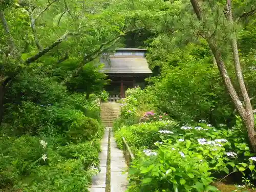 妙法寺の庭園