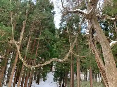 藤沼神社(福島県)