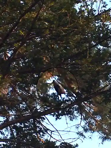 栗沢神社の動物