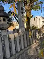 常葉神社(岐阜県)