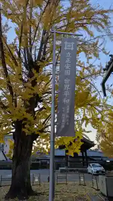 頂妙寺(京都府)