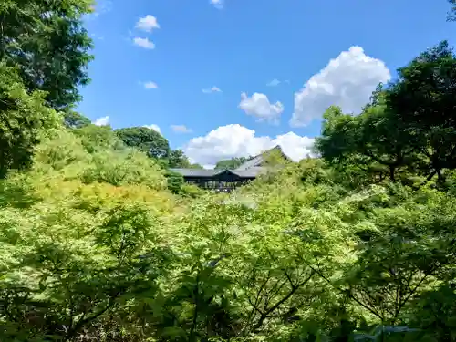 東福禅寺（東福寺）(京都府)