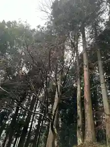 大宮温泉神社(栃木県)(2024年03月14日(木) 16時22分58秒投稿)