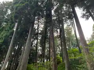 大宮温泉神社(栃木県)(2023年05月29日(月) 08時11分49秒投稿)
