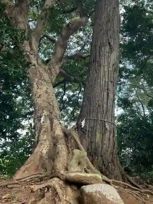 雷神社(千葉県)