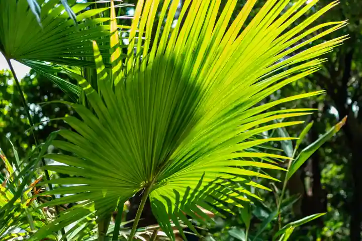 川平観音堂(沖縄県)