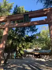 和歌山縣護國神社の鳥居