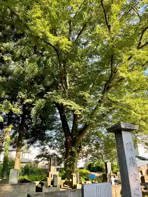 実成寺(福島県)