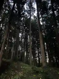 大宮温泉神社(栃木県)(2023年10月16日(月) 09時35分38秒投稿)