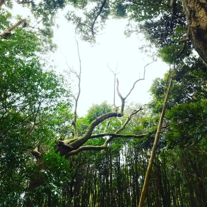 戸隠神社の自然