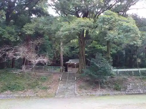 白山神社の建物その他