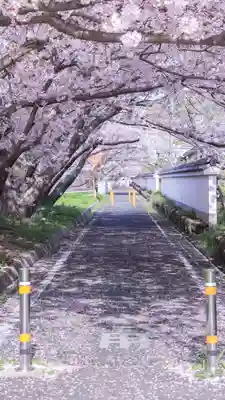 大山祇神社(愛媛県)