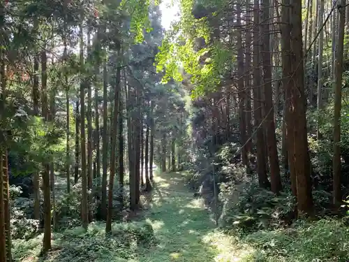 熊野神社の自然