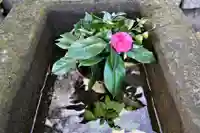 熊野福藏神社の手水舎