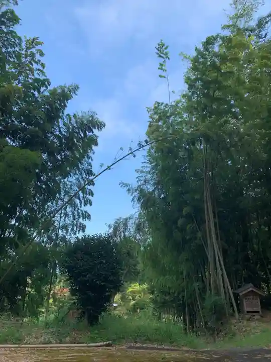 円蔵寺(千葉県)