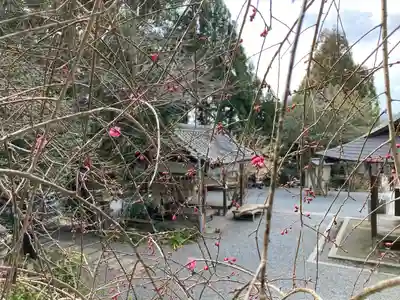 大豊神社(京都府)
