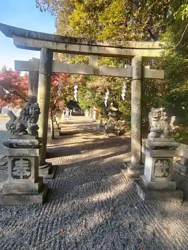 杉之木神社(滋賀県)