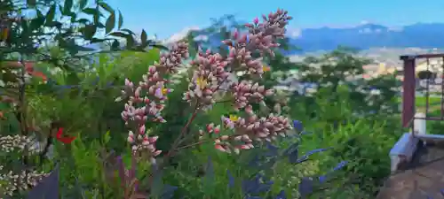 差出磯大嶽山神社 仕事と健康と厄よけの神さま(山梨県)