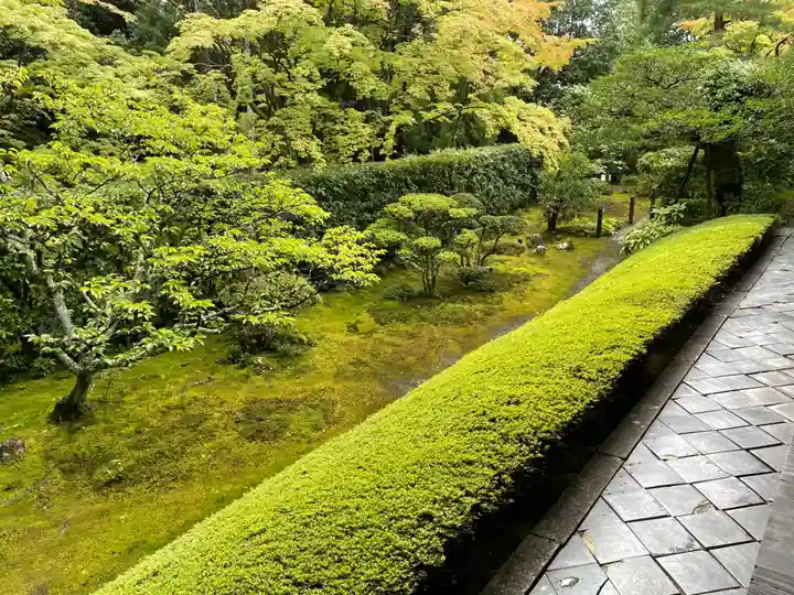 桂春院(京都府)