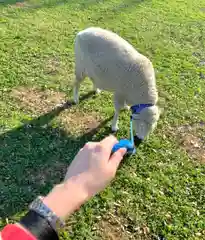 伊香保神社の動物