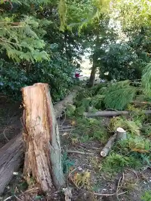 伏木香取神社の周辺