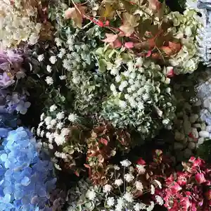 札幌諏訪神社の手水舎(2021年10月28日(木) 11時19分05秒投稿)