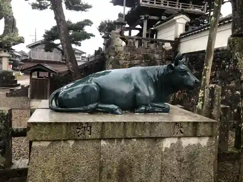 天満神社の狛犬