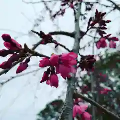 豊景神社の自然