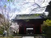 妙本寺の山門・神門
