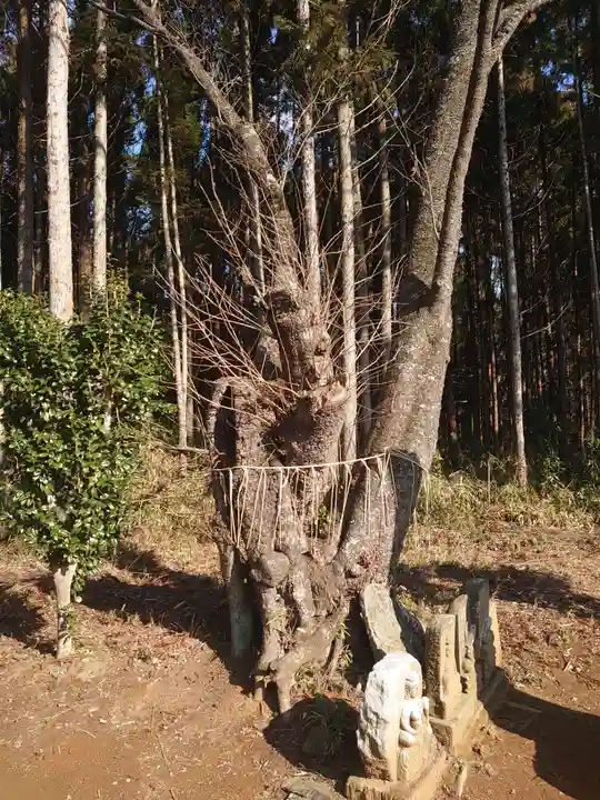 耳守神社の自然