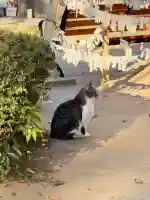 柏諏訪神社(千葉県)