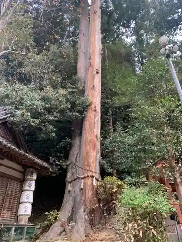 宇太水分神社(奈良県)