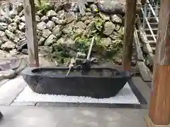 十五社神社の手水