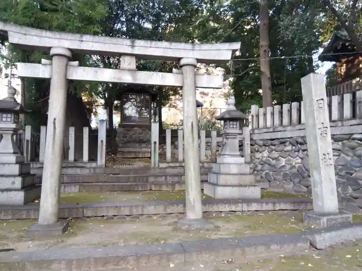 白山神社(大須白山神社)(愛知県)