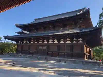 東寺(教王護国寺)の本殿・本堂