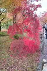 禅林寺（永観堂）(京都府)