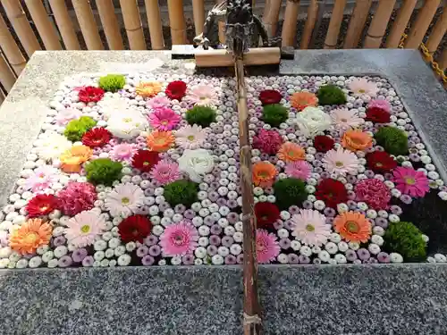 高円寺氷川神社(東京都)