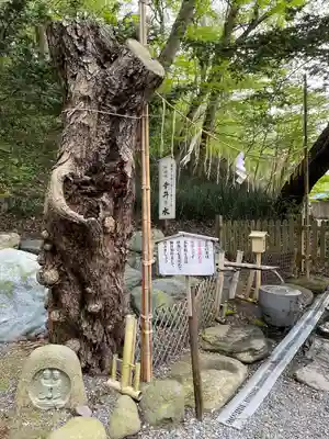 千歳神社の手水舎