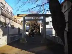 弥生神社の鳥居