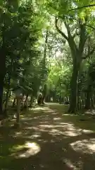 小御門神社の自然