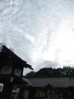 櫻木神社(千葉県)