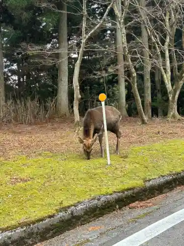比叡山延暦寺(滋賀県)