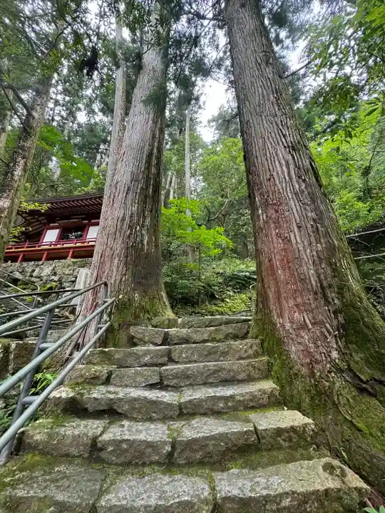 飛瀧神社(熊野那智大社別宮)(和歌山県)