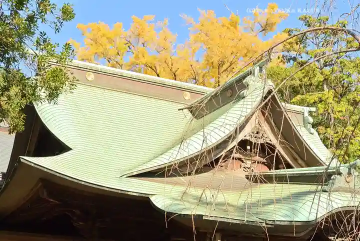 師岡熊野神社(神奈川県)